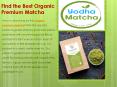 Find the Best Organic Premium Matcha PowerPoint PPT Presentation