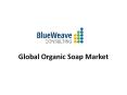 ORGANIC SOAP MARKET Growth Analysis PowerPoint PPT Presentation