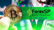 Forexsp Trading Policy And Conditions