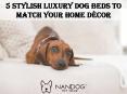 5 Stylish Luxury Dog Beds to Match Your Home Décor PowerPoint PPT Presentation