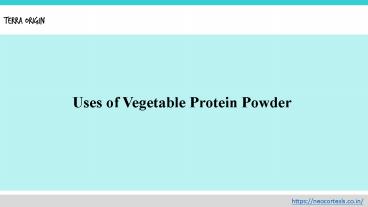 Uses of Vegetable Protein Powder