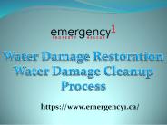 The best water damage Cleanup process