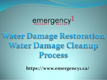 The best water damage Cleanup process (1)