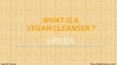 What is a Vegan Cleanser? PowerPoint PPT Presentation