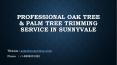 Professional Oak Tree & Palm Tree Trimming Service In Sunnyvale PowerPoint PPT Presentation
