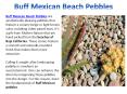 Buff Mexican Beach Pebbles PowerPoint PPT Presentation