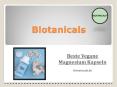 Beste Vegane Magnesium Kapseln - Biotanicals PowerPoint PPT Presentation