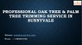 Professional Oak Tree & Palm Tree Trimming Service In Sunnyvale (1) PowerPoint PPT Presentation