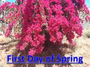 First Day of Spring 2021 Canada USA