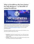 Why is Wordpress the best choice for b2b Business ? 12 Benefits of using WordPress: PowerPoint PPT Presentation
