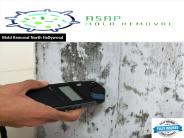 Mold Testing North Hollywood