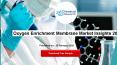 Oxygen Enrichment Membrane Market Insights 2019 PowerPoint PPT Presentation