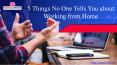 5 Things No One Tells You about Working from Home PowerPoint PPT Presentation