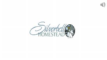 Elder Care Services Asheville, NC