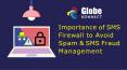 Globe Konnect - SMS Firewall to Avoid Spam & SMS Fraud Management PowerPoint PPT Presentation