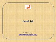 Fursuit Tail