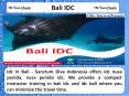 Bali IDC PowerPoint PPT Presentation