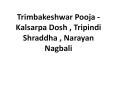 Trimbakeshwar Pooja - Kalsarpa Dosh , Tripindi Shraddha , Narayan Nagbali PowerPoint PPT Presentation