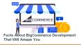 Facts About BigCommerce Development That Will Amaze You