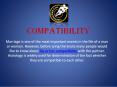 Compatibility between Zodiac Signs (1) PowerPoint PPT Presentation