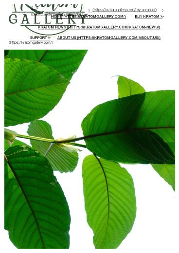 Where to Buy Kratom Online