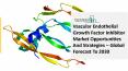 Vascular Endothelial Growth Factor (VEGF) Inhibitor Market Emerging Growth Factors 2021 PowerPoint PPT Presentation