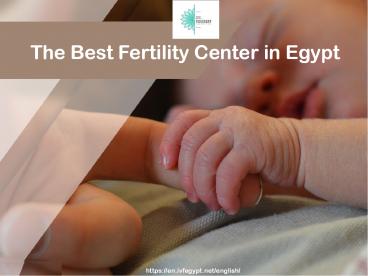 The Best Fertility Center in Egypt (1)