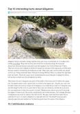 Top 10 interesting facts about Alligators - Depth World PowerPoint PPT Presentation