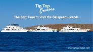 The Best Time to Visit the Galapagos Islands