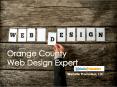 Orange County Web Design Expert - Websitepromoters.com (1) PowerPoint PPT Presentation