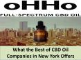 What the Best of CBD Oil Companies in New York Offers