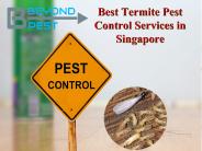 Best Termite Pest Control Services in Singapore