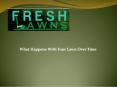 What Happens With Your Lawn Over Time