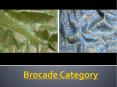 Brocade Category – Make Your House Look Beautiful & Attractive PowerPoint PPT Presentation