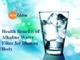 Health Benefits of Alkaline Water Filter for Human Body PowerPoint PPT Presentation