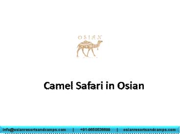 Camel Safari in Osian
