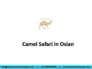 Camel Safari in Osian