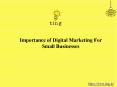 Importance of Digital Marketing For Small Businesses PowerPoint PPT Presentation