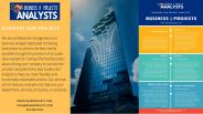 Business and Project Analysts