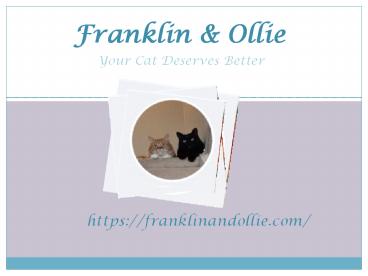 Franklin & Ollie