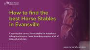 Tips For Choosing Right Horse Boarding Facility