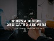 10gbps netherlands server