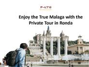 Private Tour in Ronda (2)