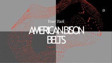 American Bison Belts