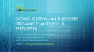 Potting Soil