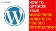 How to Optimize Your WordPress Robots.txt for SEO Optimization? PowerPoint PPT Presentation