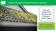 Why Do You Need Roof Moss Removal in Burnaby?