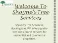 Best Tree Specialist in the Rockingham, Australia- Shayne's Tree Services PowerPoint PPT Presentation