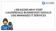 7 Reasons Why Fort Lauderdale Businesses Should Use Managed IT Services-ZenTek Data Systems PowerPoint PPT Presentation