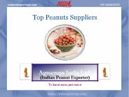 Top Peanuts Suppliers